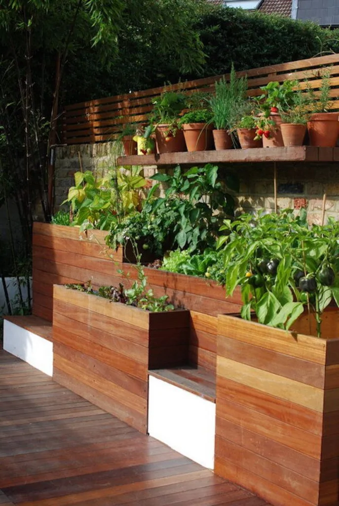 Raised Beds