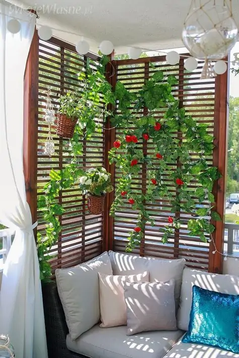 planter wall privacy idea