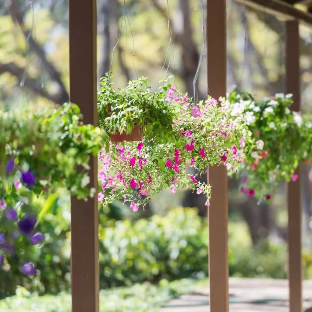 Hang Flower Pots from Your Porch