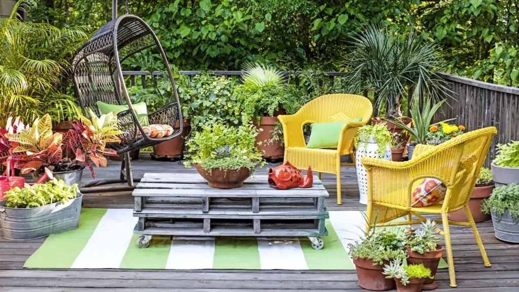 potted plants ideas for patio