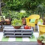 potted plants ideas for patio
