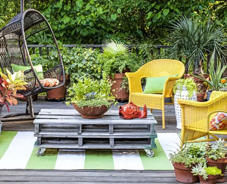 potted plants ideas for patio