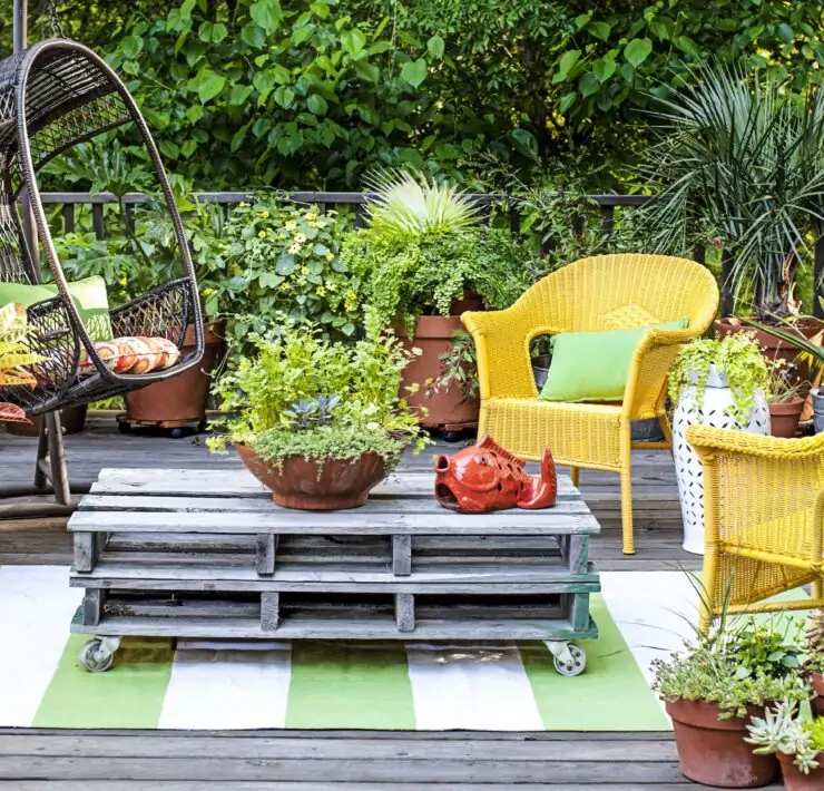 potted plants ideas for patio