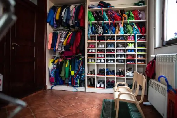 Walk in Closet Shoe Shelves