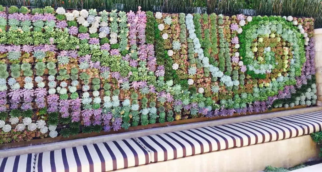 succulent garden pattern on wall