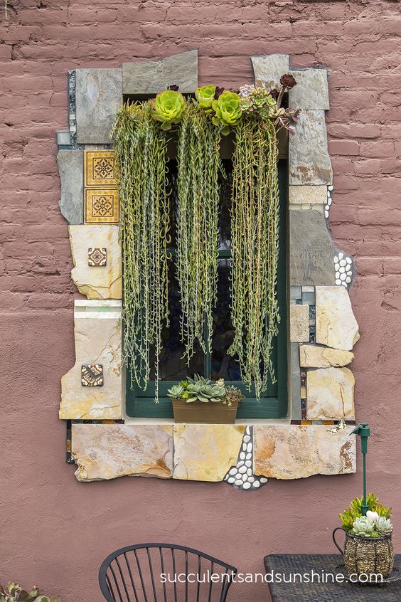 window cover succulent garden