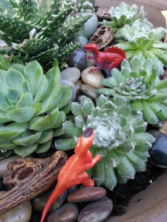 Jurassic Park from Succulent plants
