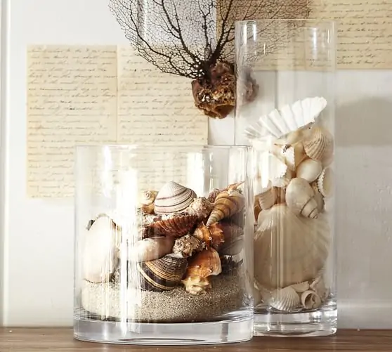 beach shell vase filler c