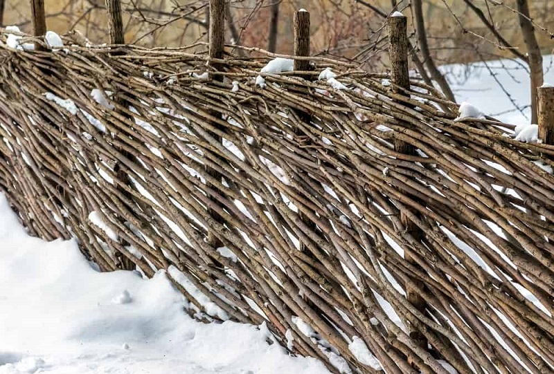 wattle fence