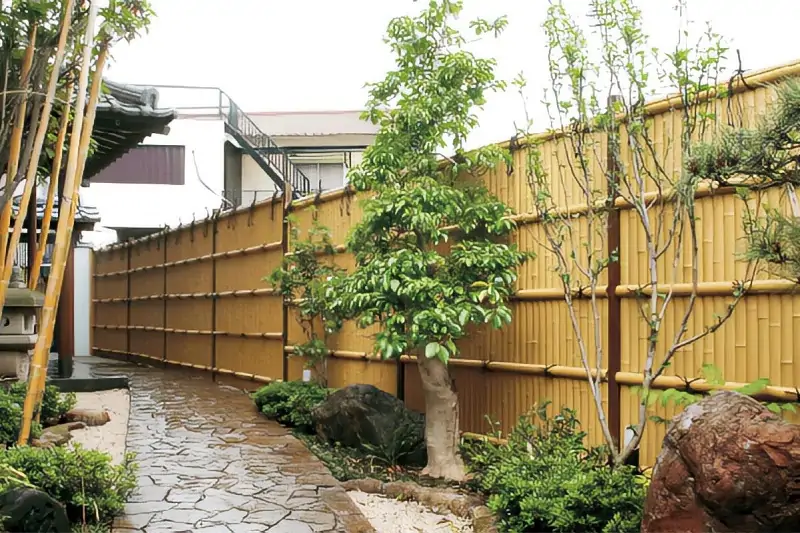 bamboo fence