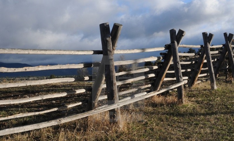 jack lef fence