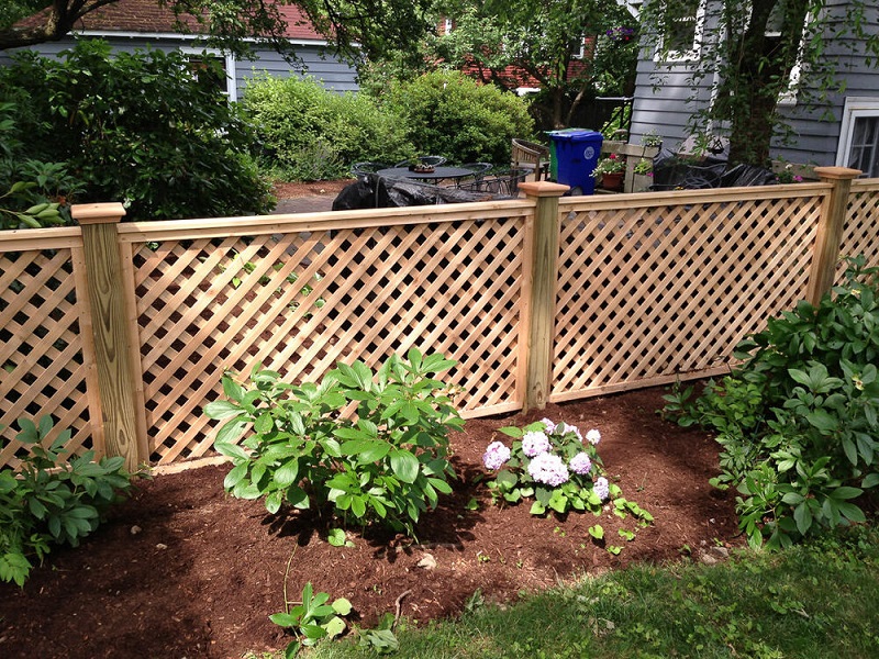 lattice fence