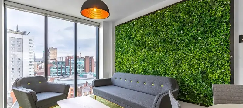 hang natural green leaves on liiving room wall