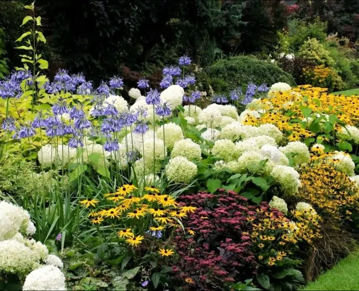 perennial plants