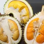 durian fruit