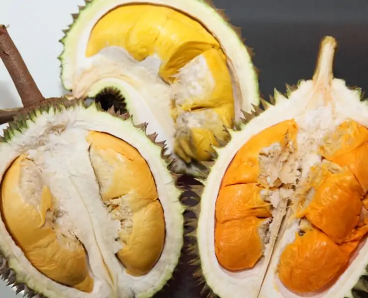 durian fruit