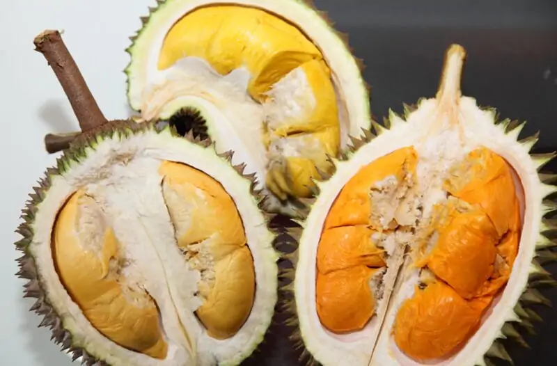 durian fruit