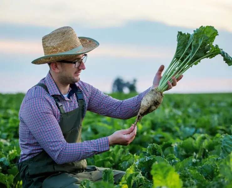 man made vegetables