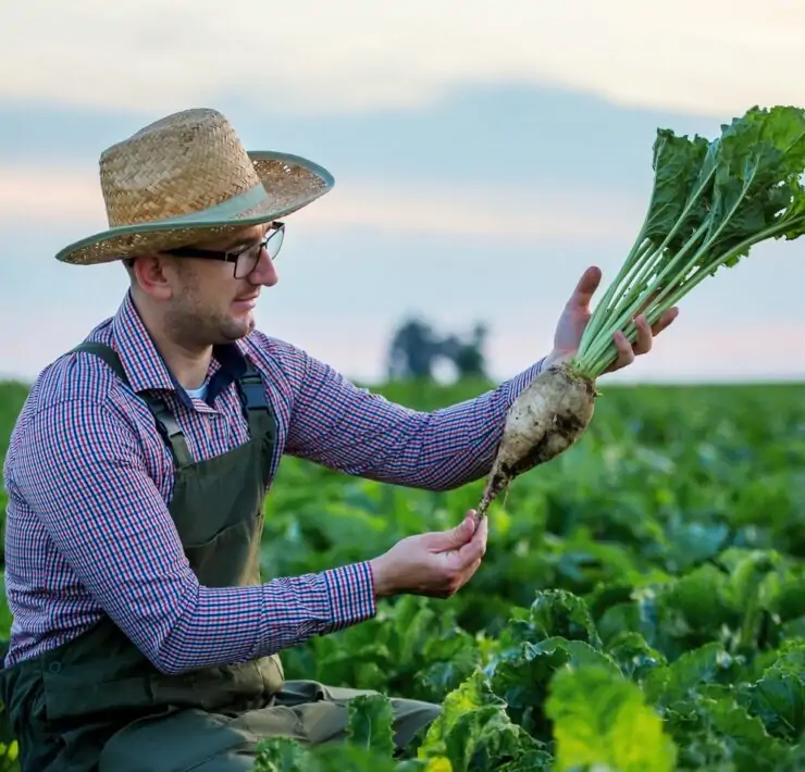 man made vegetables