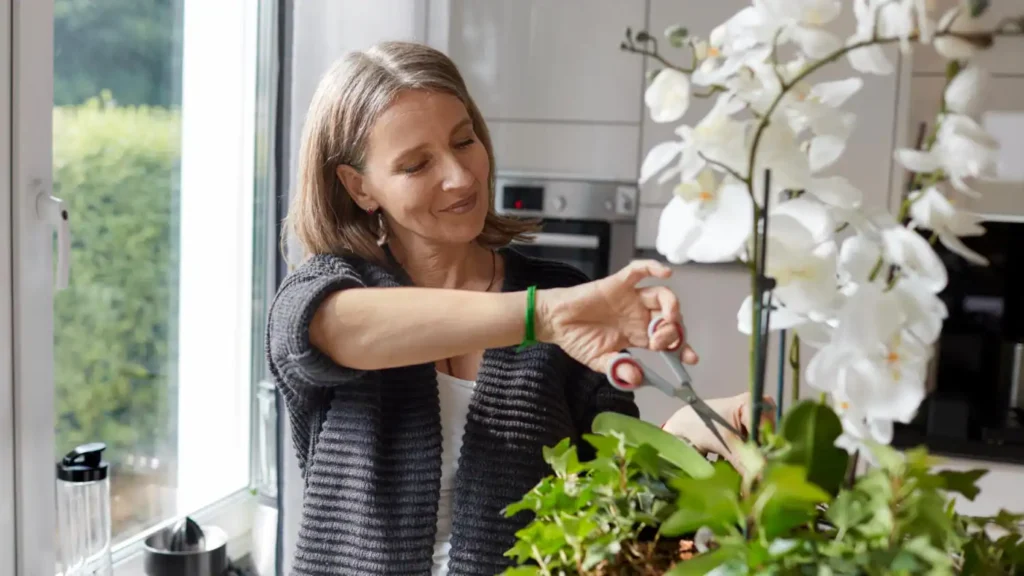 woman pruning orchid home