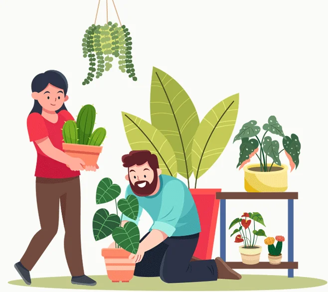 Gardening Categories gardening categories