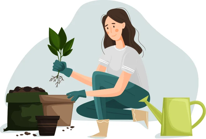 Gardening Maintenance gardening maintenance