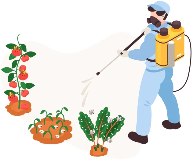 Plant Problems plant problems