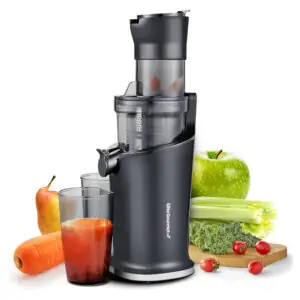 Dynamic Masticating Slow Juicer