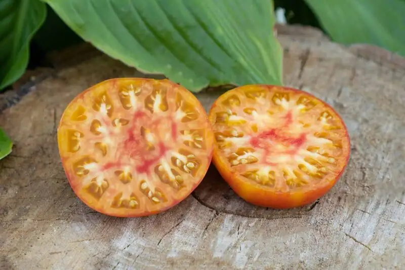 Beefsteak tomatoes