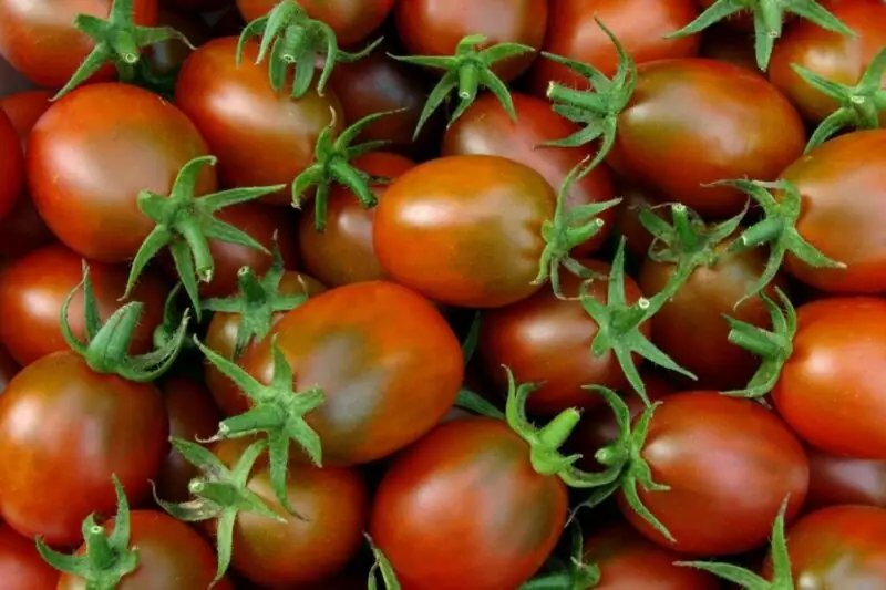 Plum Tomatoes